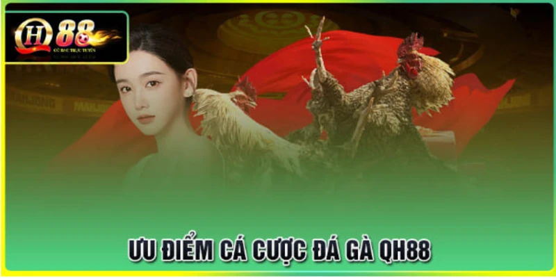 uu-diem-tham-gia-ca-cuoc-da-ga-tai-qh88